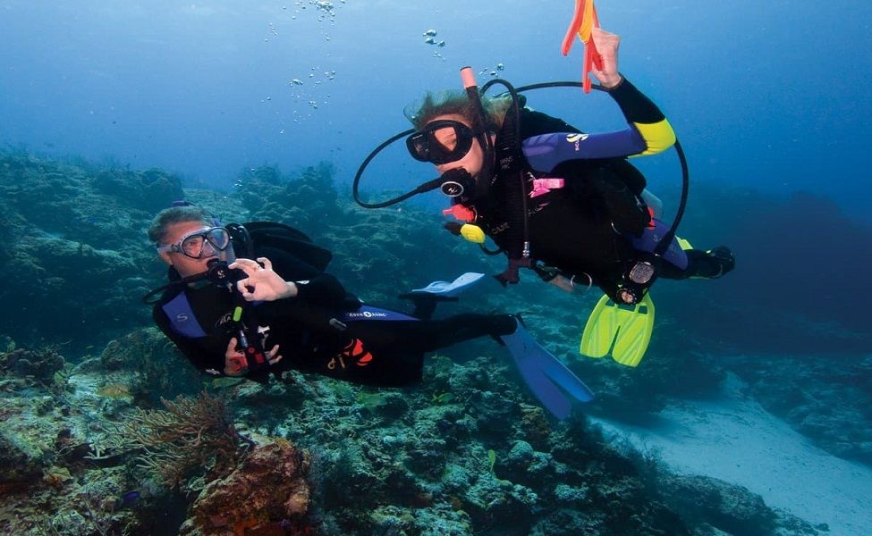 Scuba Dive at Havelock Island