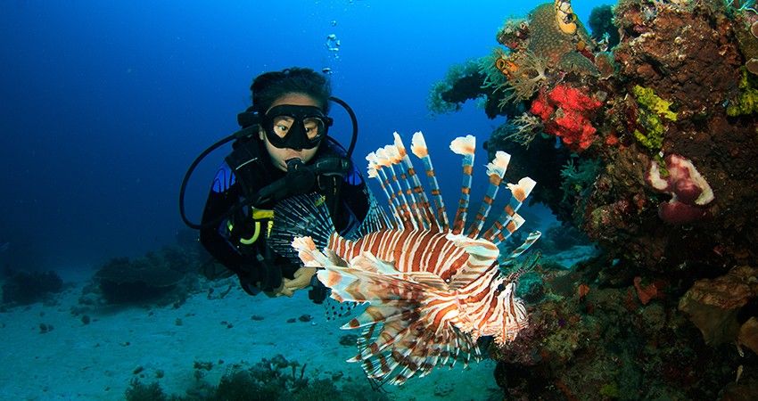 Scuba Diving for Non-Swimmers in the Andaman Islands