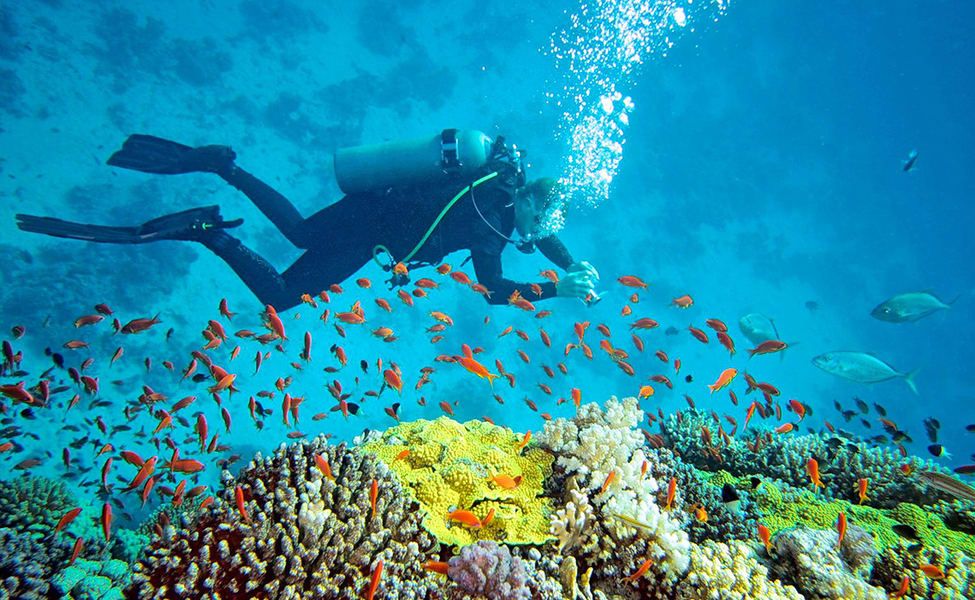 Experience the Thrill of a Lifetime: Scuba Diving in Havelock Island of Andaman