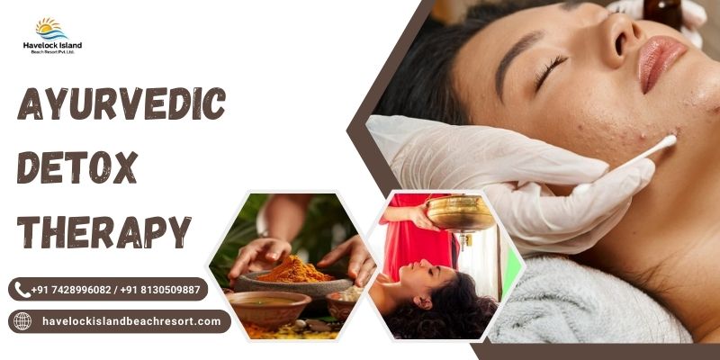 Ayurvedic Detox Therapy