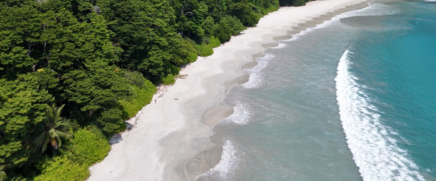 Radhanagar beach in Havelock