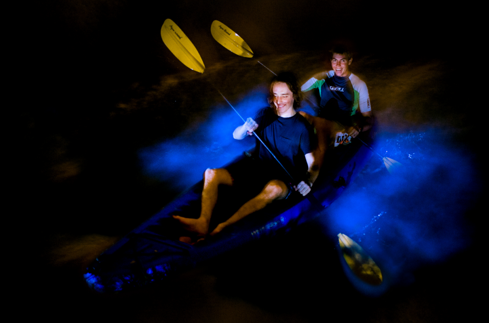 #7 of Top 10 Experiences by Travellers in The Andaman Islands: Witness Bioluminescence