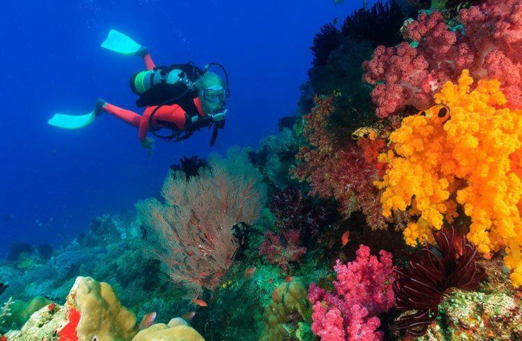 Private Boat Charter for Snorkeling in Neil Island
