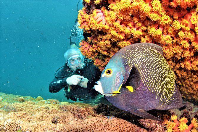 Scuba Diving Trip at Havelock Island