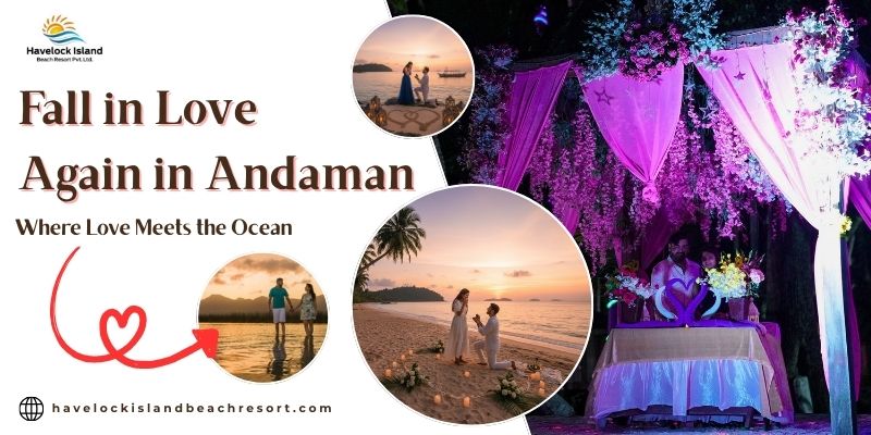 Cost of Candle Light Dinner in Andaman Islands