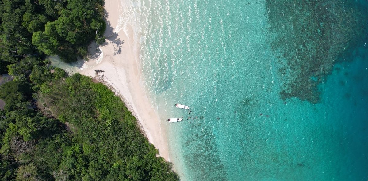 Forest & Beach Camping