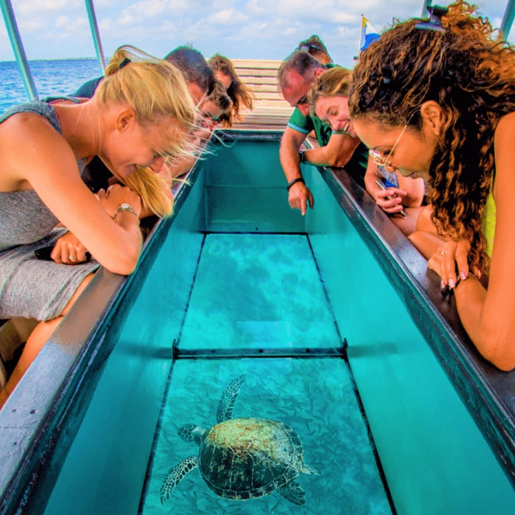Glass Bottom Boat Ride