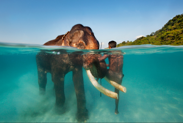 havelock-island-1-3.png
