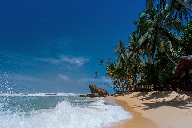 Travel Guide to Havelock Island