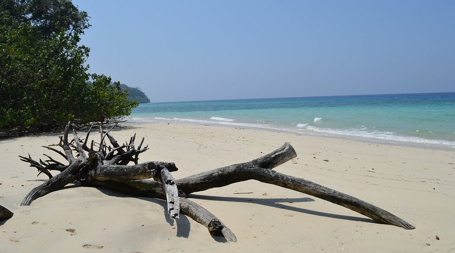 Daily Trip from Havelock Island to Inglis Island