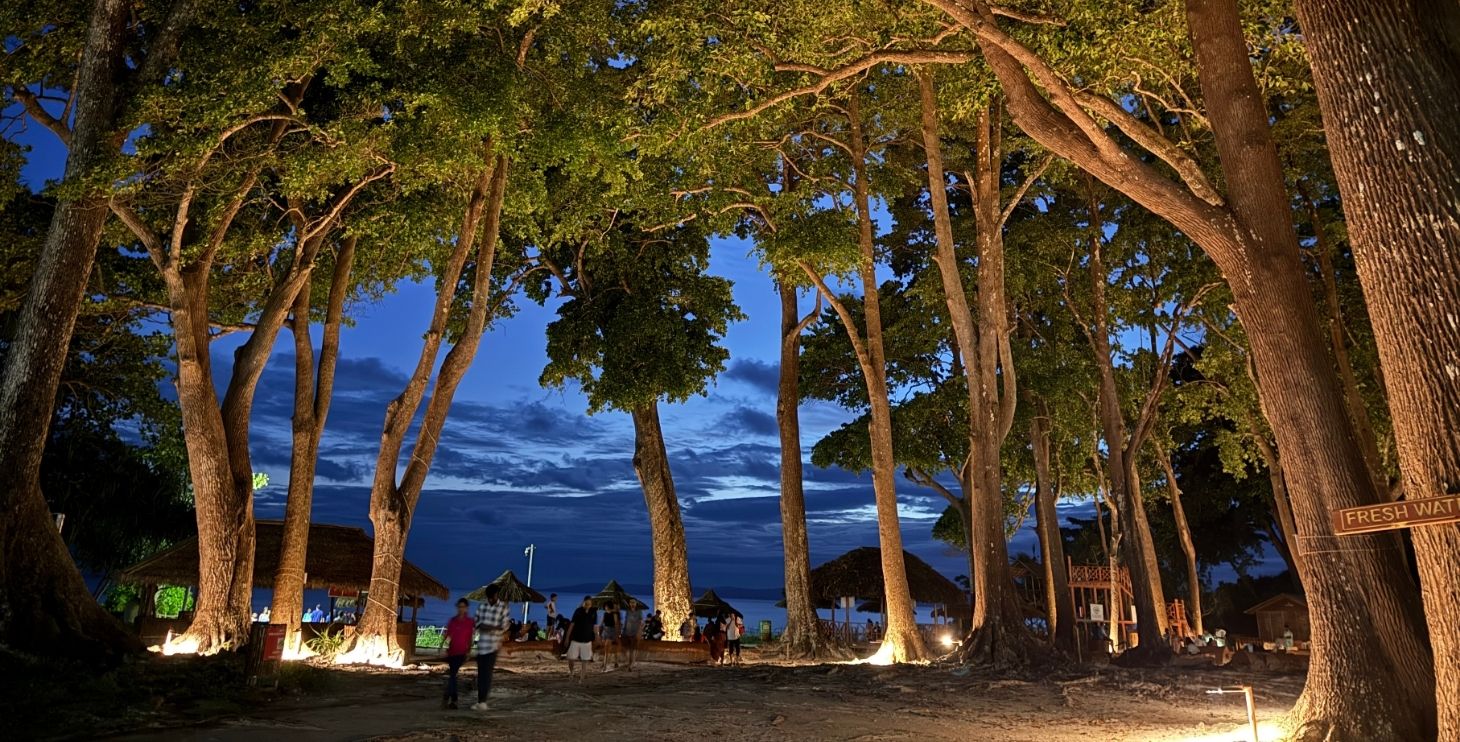 Mohwa Cafe Radhanagar beach