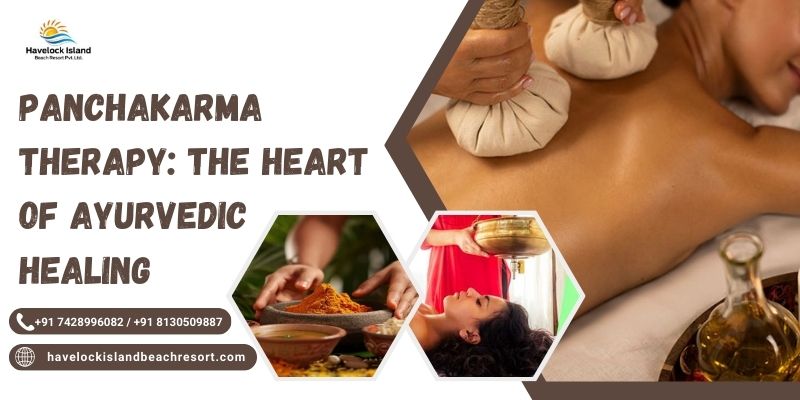 Panchakarma Therapy: The Heart of Ayurvedic Healing