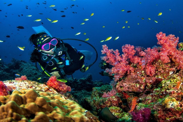 Private Boat Charter for Scuba Diving in Neil Island