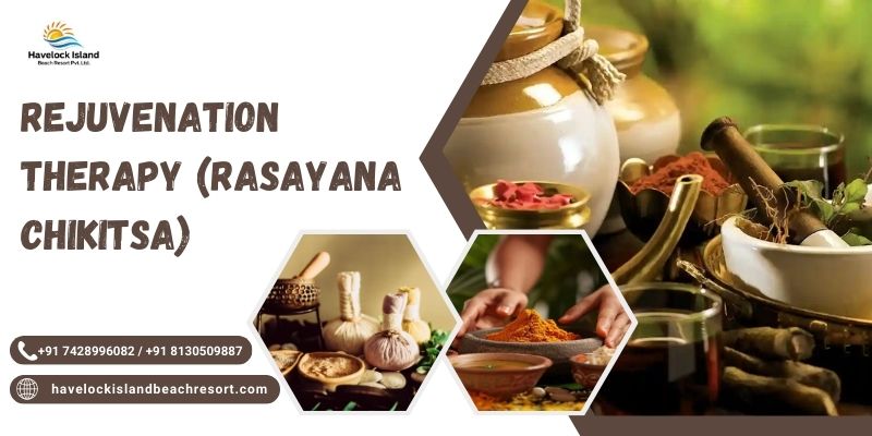 Rejuvenation Therapy (Rasayana Chikitsa)