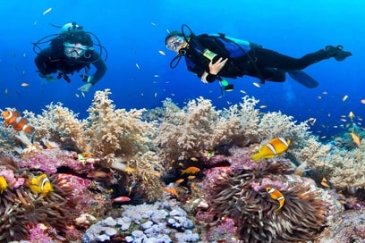 Deluxe Cottage with Scuba Diving- Shore Dive
