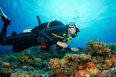 Deluxe Cottage with Scuba Diving- Shore Dive