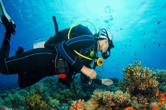 Scuba Diving Trip at Havelock Island