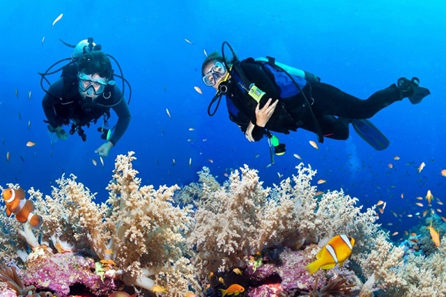 Scuba Diving in Havelock, Andaman Islands