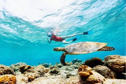 Deluxe Cottage with Snorkeling- Shore Dive