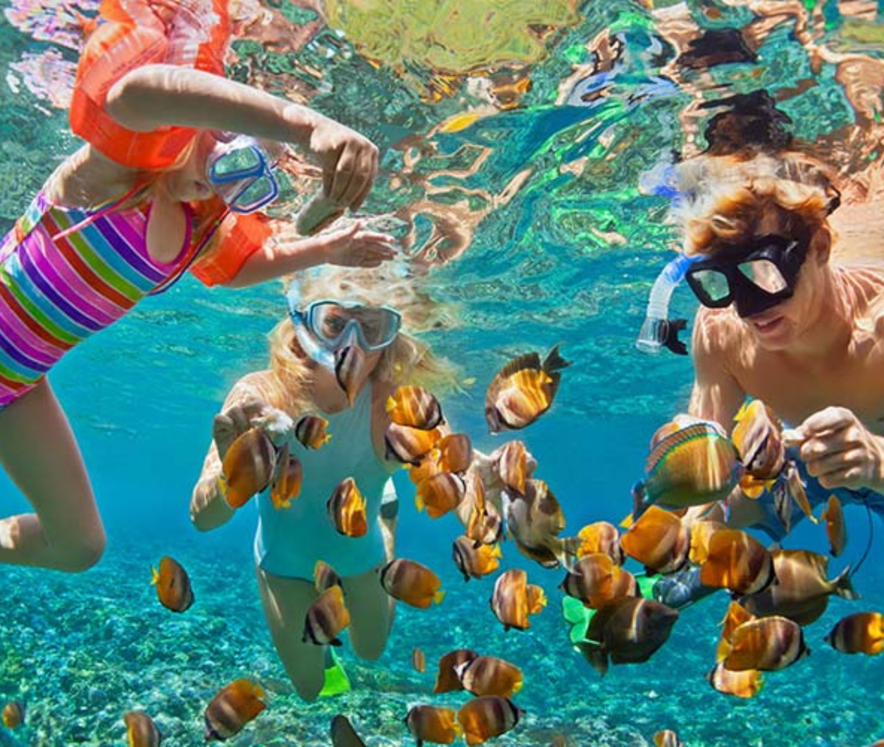 Private Boat Charter for Snorkeling in Neil Island