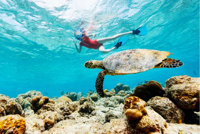 Private Boat Charter for Snorkeling in Neil Island