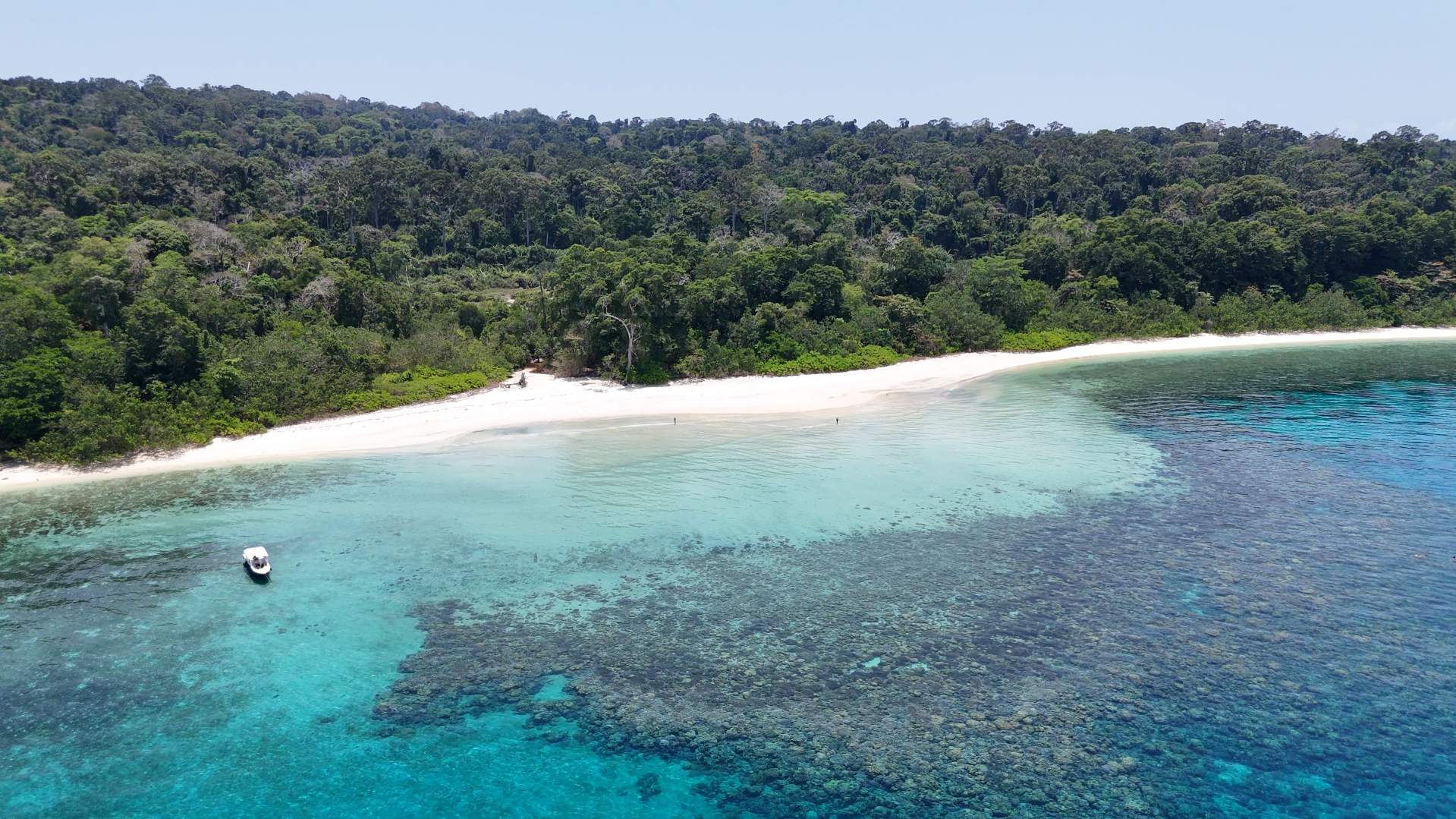 Why Elephant Beach is Perfect for Beginners