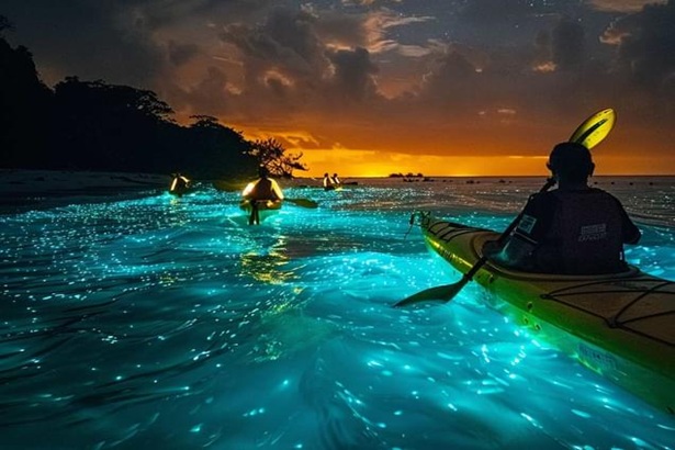 Night Kayaking in Havelock Island